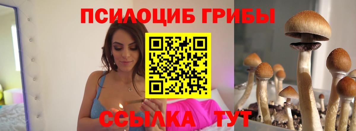 Псилоцибиновые грибы ЛСД  Вход с VPN  Курган 